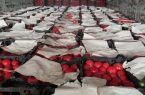 کشف محموله بیست هزار کیلوگرمی گوجه‌فرنگی قاچاق در گمرک باشماق