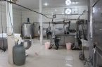 افتتاح طرح تولید پنیر پیتزا در روستای شهسوار مریوان  