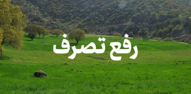 رفع تصرف ۱۳۹ هکتار از اراضی ملی کردستان