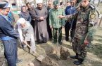 مراسم روز درختکاری در مریوان