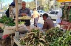 سفره رنگین مریوانی‌ها با گیاهان خوراکی بهاری