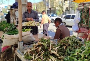 سفره رنگین مریوانی‌ها با گیاهان خوراکی بهاری