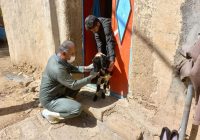 واکسینه ۴۱۸ رأس دام و سمپاشی ۵۰۰ مترمربع در روستای قطوند واکسینه ۴۱۸ رأس دام و سمپاشی ۵۰۰ مترمربع در روستای قطوند