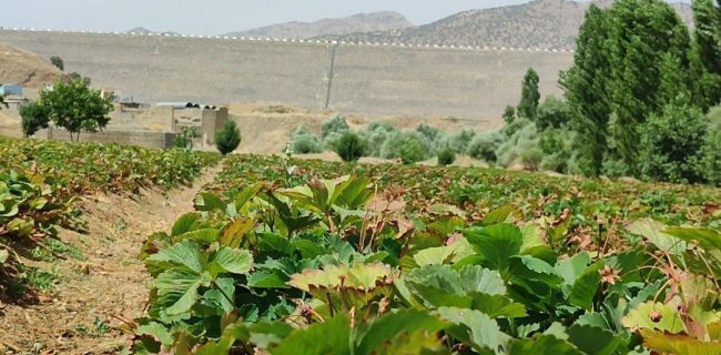 دستاوردهای شهید رئیسی در جهت شکوفایی اقتصادی مریوان