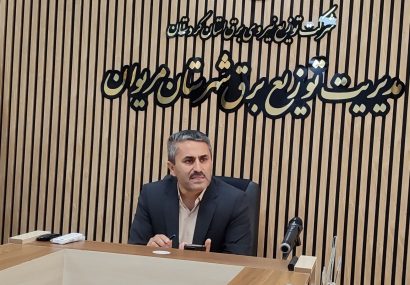 شناسایی ۱۸۵ مورد برق غیرمجاز در مریوان