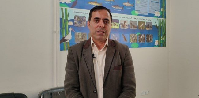 مرگ ماهیان در زریوار بر اثر گرما و افت اکسیژن