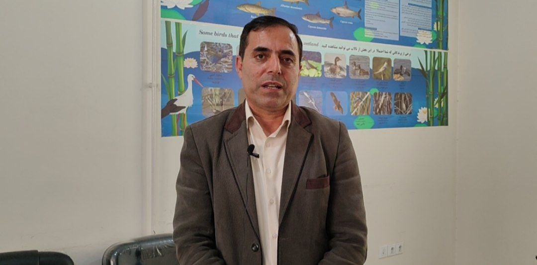 مرگ ماهیان در زریوار بر اثر گرما و افت اکسیژن