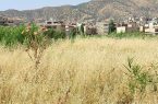 وعده‌های بی سرانجام بوستان حلبچه بهاران مریوان