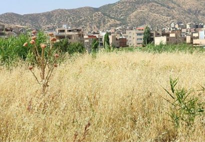 وعده‌های بی سرانجام بوستان حلبچه بهاران مریوان