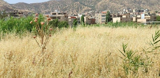 وعده‌های بی سرانجام بوستان حلبچه بهاران مریوان