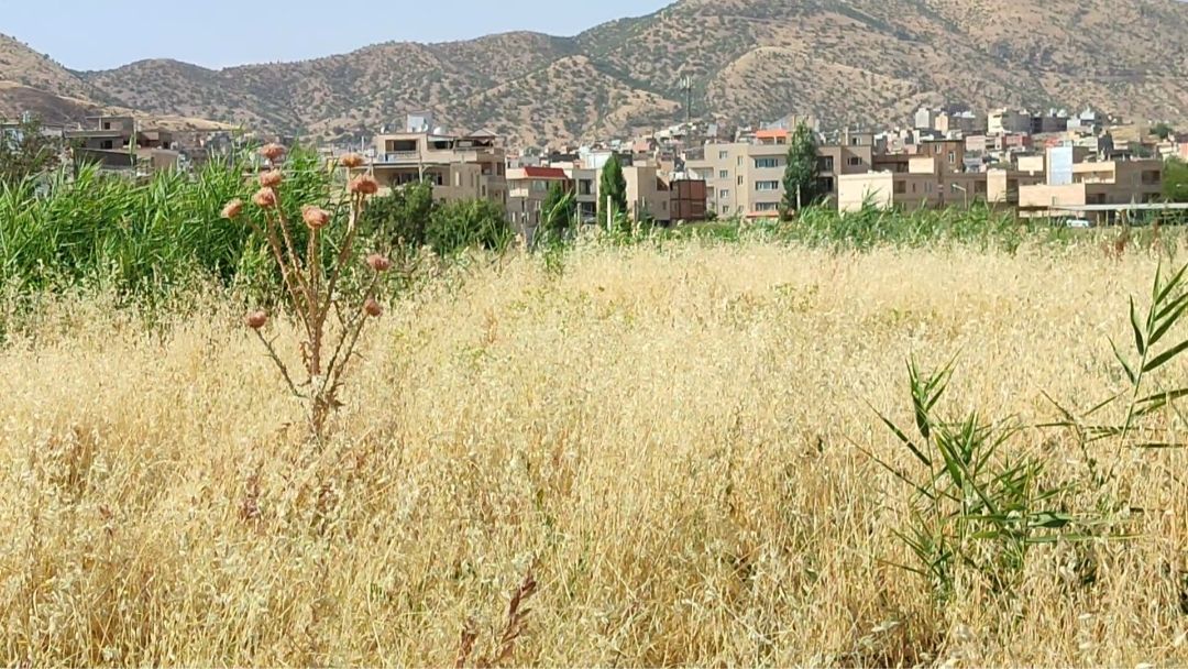وعده‌های بی سرانجام بوستان حلبچه بهاران مریوان