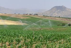 آبیاری نوین، توسعه و تحول کشاورزی در مریوان