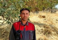 ۳۲ فقره تخلف منابع طبیعی به مراجع قضایی ارجاع داده شد ۳۲ فقره تخلف منابع طبیعی به مراجع قضایی ارجاع داده شد