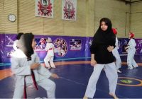 استاژ دو روزه آموزشی کیوروگی تکواندو در مریوان برگزار شد