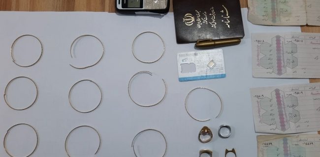 سارق در پوشش مأمور اداره گاز در مریوان دستگیر شد