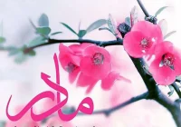 لحظاتی ناب از ابراز عشق مریوانی ها به مادر