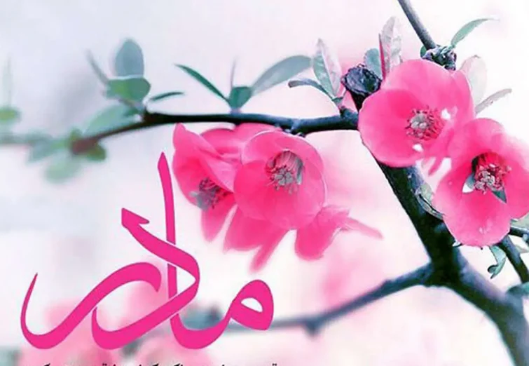 لحظاتی ناب از ابراز عشق مریوانی ها به مادر