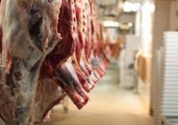 آغاز نظارتهای بهداشتی ویژه شب یلدا در مریوان آغاز نظارتهای بهداشتی ویژه شب یلدا در مریوان