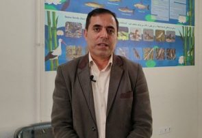 ۷ قبضه اسلحه شکاری در شهرستان کشف و ضبط شد