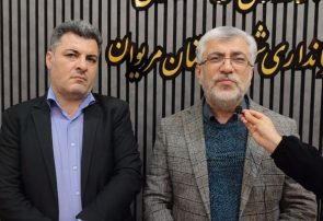 تأکید بر اجرای مهلت ۵روزه برای آزمایش کالاهای اساسی در مرز باشماق