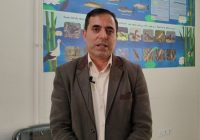 برخورد با سیم برق جان یک قطعه لک‌لک را گرفت