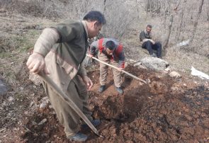 کشف و انهدام دو کوره زغال‌گیری غیرمجاز در ارتفاعات کوسالان