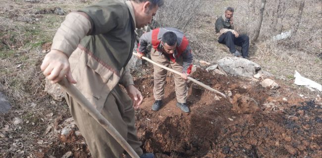 کشف و انهدام دو کوره زغال‌گیری غیرمجاز در ارتفاعات کوسالان