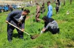 پویش نهال امید بر قامت زریبار پویش نهال امید بر قامت زریبار
