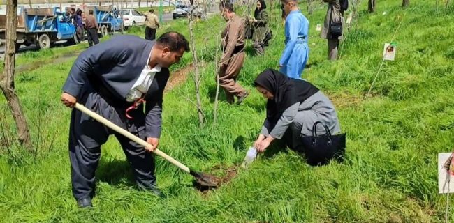 پویش نهال امید بر قامت زریبار