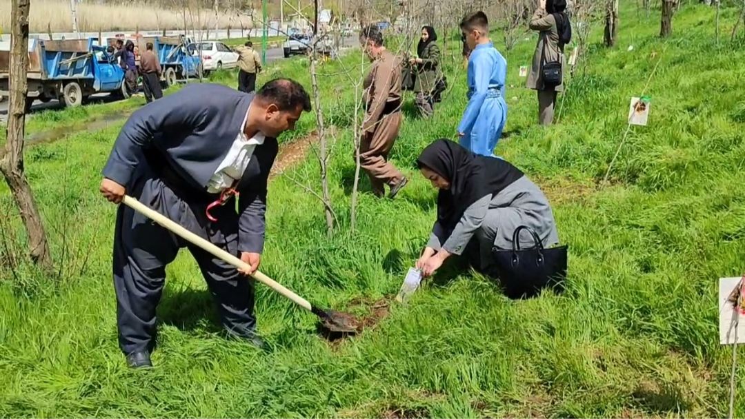 پویش نهال امید بر قامت زریبار