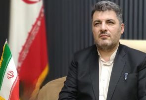 حفاظت از جنگل‌های زاگرس نیازمند برخورد قاطع با زمین‌خواری است