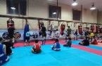 مریوان؛ قطب جدید پرورش قهرمانان موی‌تای در کردستان