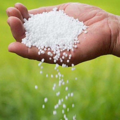 دو برابر شدن سهمیه کود اوره برای حمایت از تولید و امنیت غذایی
