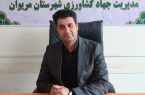 «طلای زرد» در مریوان به بار نشست