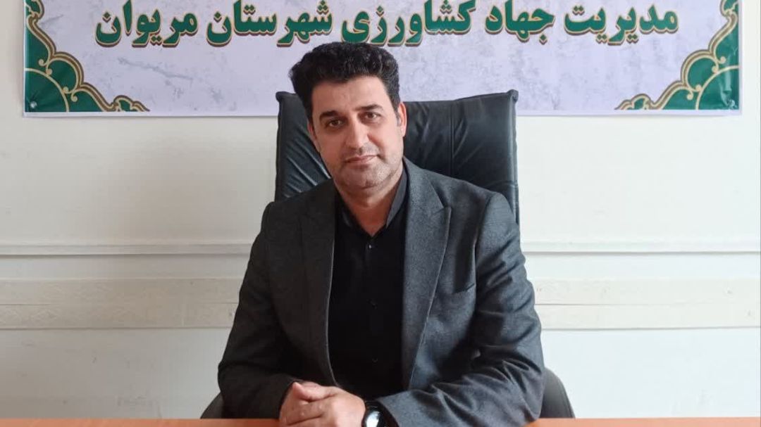 «طلای زرد» در مریوان به بار نشست «طلای زرد» در مریوان به بار نشست