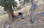 دستگیری متخلفان تخریب کندوهای زنبور وحشی و درختان بلوط در سروآباد